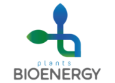 Bioenergy plants